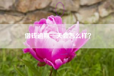 借钱逾期一天会怎么样？