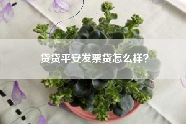 贷贷平安发票贷怎么样？