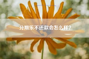 分期乐不还款会怎么样？