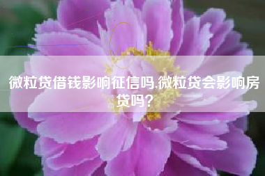 微粒贷借钱影响征信吗,微粒贷会影响房贷吗？