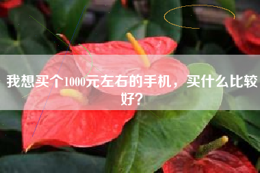 我想买个1000元左右的手机，买什么比较好？