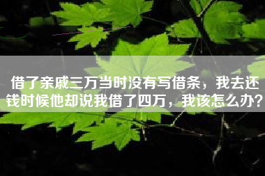 借了亲戚三万当时没有写借条，我去还钱时候他却说我借了四万，我该怎么办？