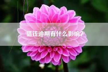 借钱逾期有什么影响？