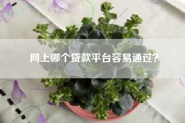 网上哪个贷款平台容易通过？