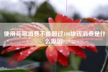 使用花呗消费不能超过100块钱消费是什么原因?