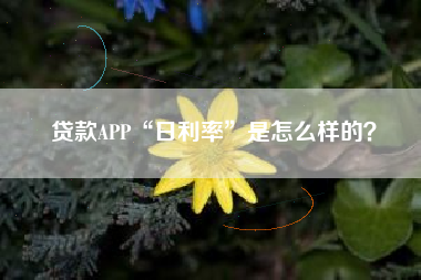 贷款APP“日利率”是怎么样的？