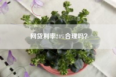 网贷利率24%合理吗？