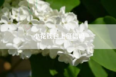 小花钱包上征信吗