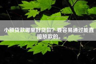 小额贷款哪里好贷款？要容易通过能直接放款的。