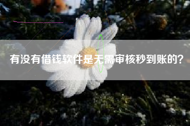 有没有借钱软件是无需审核秒到账的？