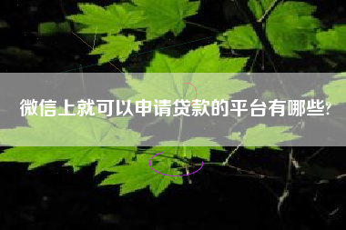 微信上就可以申请贷款的平台有哪些?