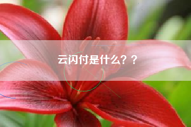 云闪付是什么？？