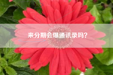 来分期会爆通讯录吗？