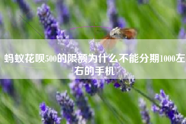 蚂蚁花呗500的限额为什么不能分期1000左右的手机