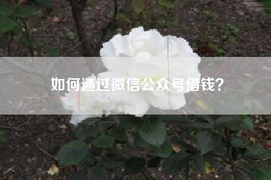 如何通过微信公众号借钱？