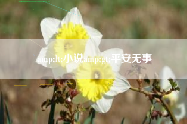 amp;lt;小说amp;gt;平安无事