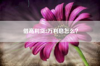 借高利贷2万利息怎么？