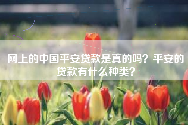 网上的中国平安贷款是真的吗？平安的贷款有什么种类？