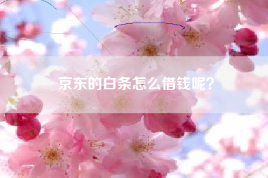 京东的白条怎么借钱呢？