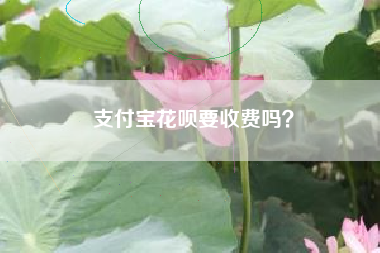 支付宝花呗要收费吗？