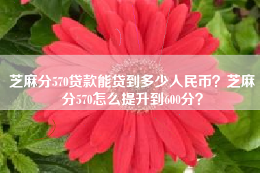 芝麻分570贷款能贷到多少人民币？芝麻分570怎么提升到600分？