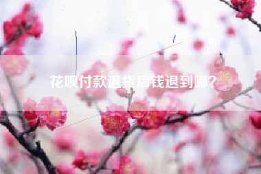 花呗付款退货后钱退到哪？