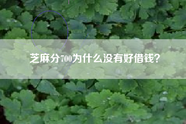 芝麻分700为什么没有好借钱？