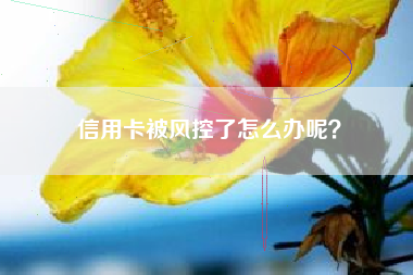 信用卡被风控了怎么办呢？