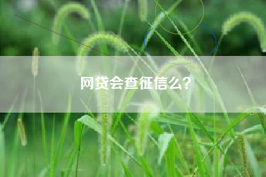 网贷会查征信么？