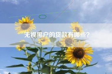 无视黑户的贷款有哪些？