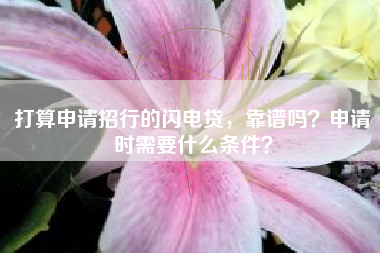 打算申请招行的闪电贷，靠谱吗？申请时需要什么条件？