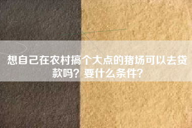 想自己在农村搞个大点的猪场可以去贷款吗？要什么条件？