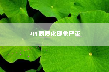 APP同质化现象严重