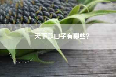 一天下款口子有哪些？