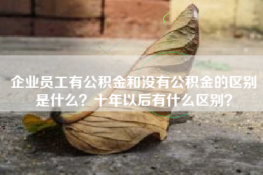 企业员工有公积金和没有公积金的区别是什么？十年以后有什么区别？