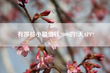 有哪些小额借钱2000的7天APP?