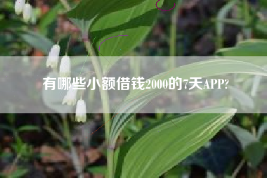 有哪些小额借钱2000的7天APP?