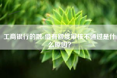 工商银行的融e借有额度审核不通过是什么原因？