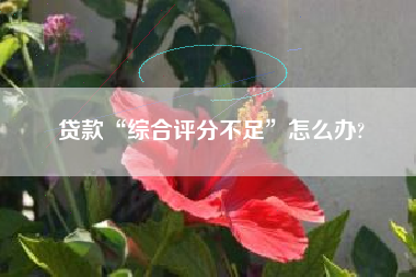 贷款“综合评分不足”怎么办?