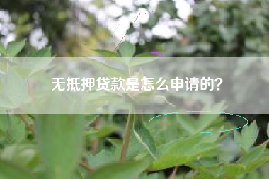 无抵押贷款是怎么申请的？