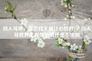 别人骂你，该怎样无视让心情好?，别人骂我我无视但心情还是不爽啊