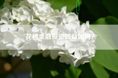 花橙金融投资效益如何？