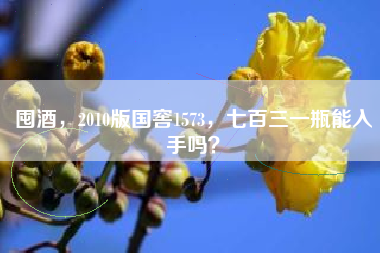 囤酒，2010版国窖1573，七百三一瓶能入手吗？