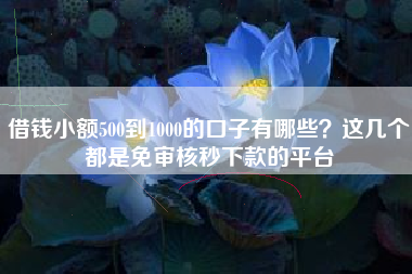 借钱小额500到1000的口子有哪些？这几个都是免审核秒下款的平台