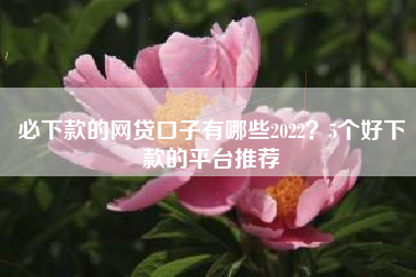 必下款的网贷口子有哪些2022？5个好下款的平台推荐