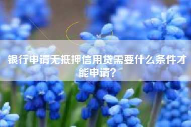 银行申请无抵押信用贷需要什么条件才能申请？