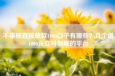 不审核直接放款1000口子有哪些？几个借1000元立马到账的平台