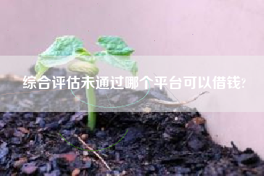 综合评估未通过哪个平台可以借钱?