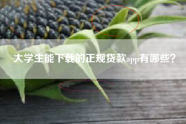 大学生能下载的正规贷款app有哪些？