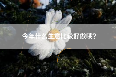 今年什么生意比较好做哦？